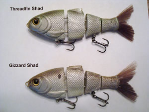 Bull Shad - Floater - 5 Inch 